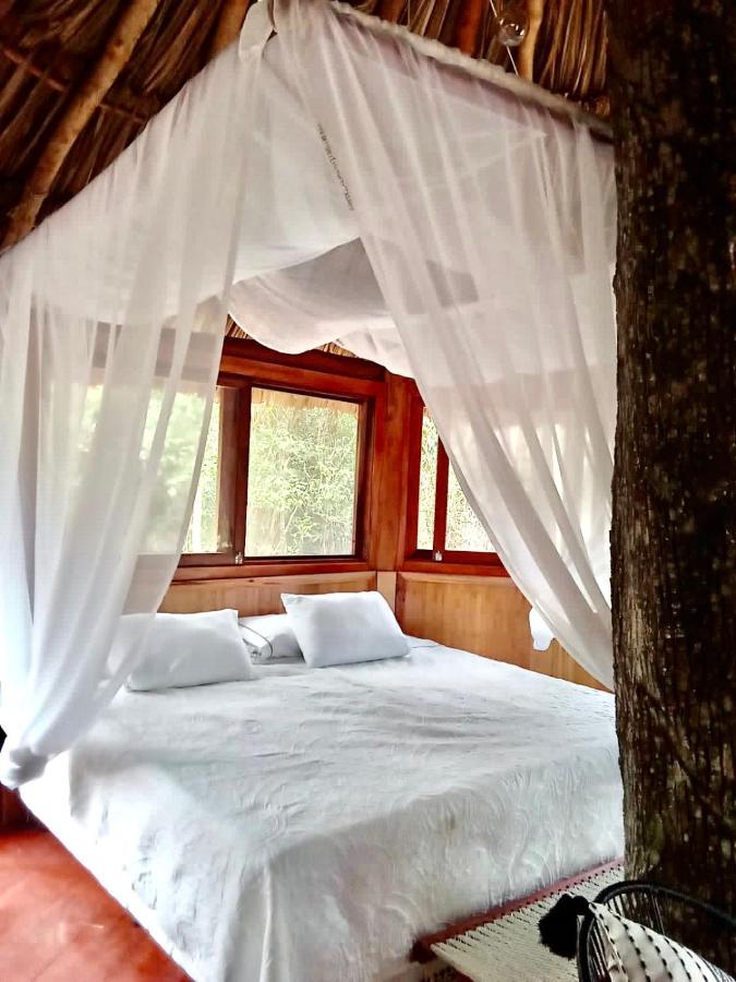 מלון פוארטו מורלוס Nuscaa Boutique Tree House & Spa מראה חיצוני תמונה
