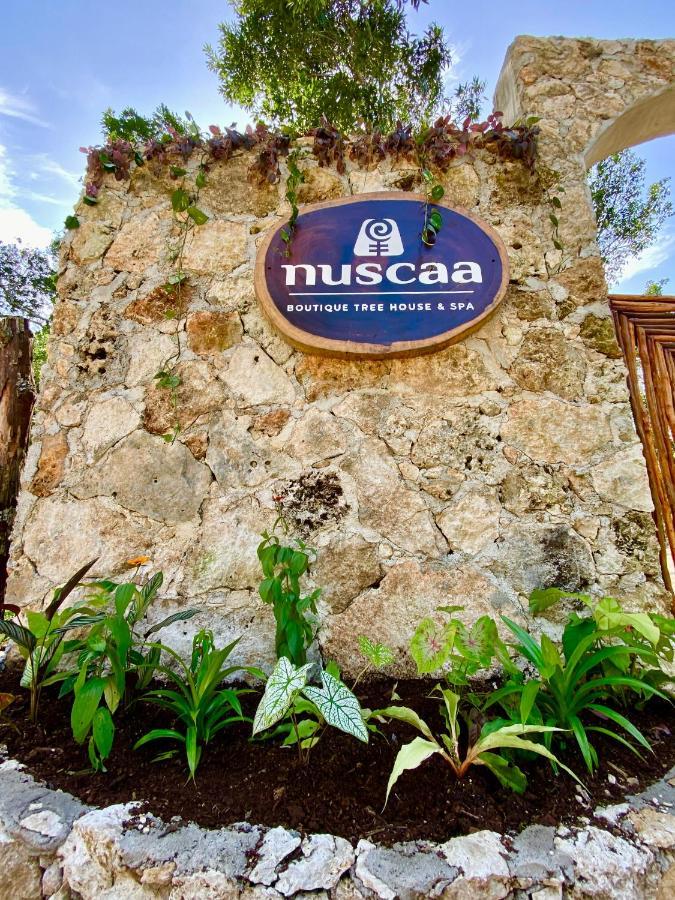 מלון פוארטו מורלוס Nuscaa Boutique Tree House & Spa מראה חיצוני תמונה
