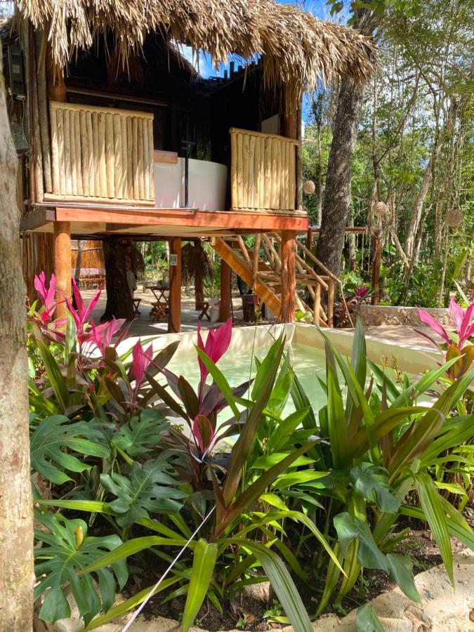 מלון פוארטו מורלוס Nuscaa Boutique Tree House & Spa מראה חיצוני תמונה