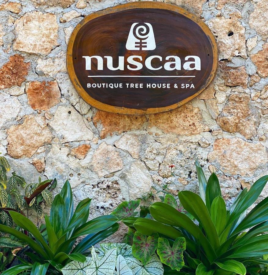 מלון פוארטו מורלוס Nuscaa Boutique Tree House & Spa מראה חיצוני תמונה